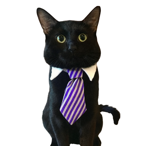 Cat mascot